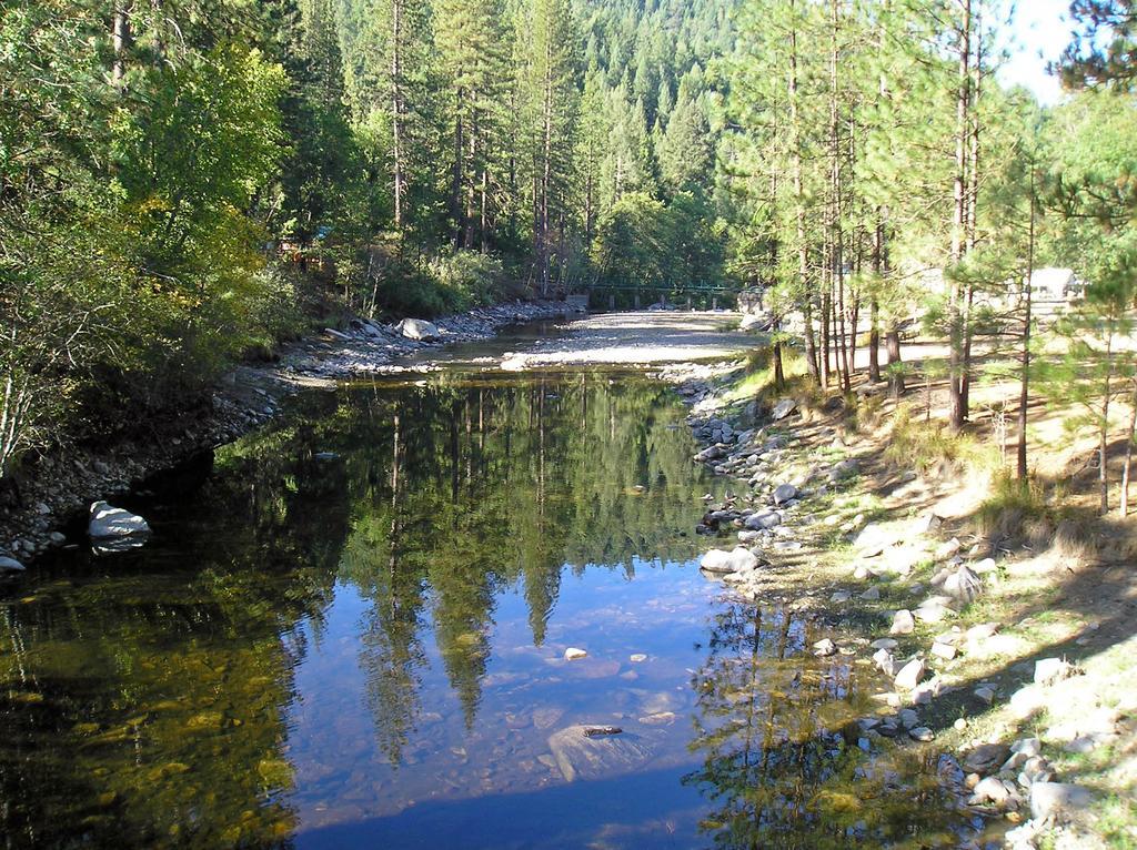 Yosemite Lakes Cabin 40 Harden Flat 외부 사진